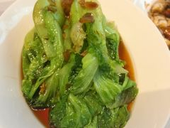 白灼罗马生菜-眉州东坡(华联万柳店)