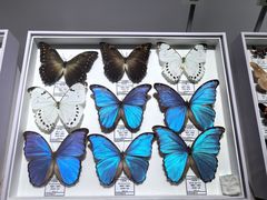 -烟台市博物馆