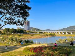 -光明小镇欢乐田园