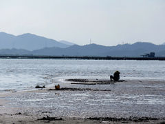 -盐洲岛