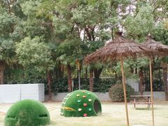 -上海青草地幼儿园