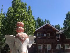 -永定河休闲森林公园