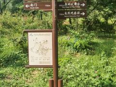 -北京西山国家森林公园