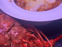 -上海新锦江大酒店