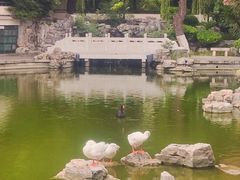 -舜耕山庄四时万和自助餐厅