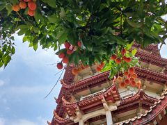 -西禅古寺售票处