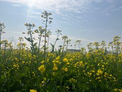 -中国天府农业博览园