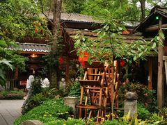 -青城甲(青城山店)