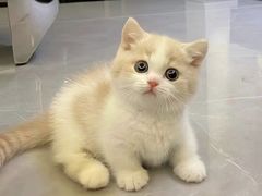 -佳雯宠物医院·皮肤科·内外科(春晓路分院)