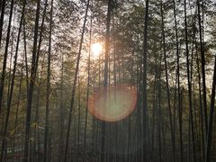 -陶祖圣境风景区