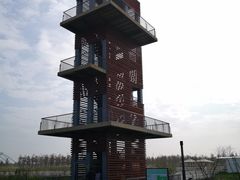 -春花秋色城市公园