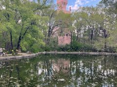 -黑龙江省森林植物园