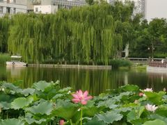 -西海子公园