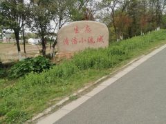 -大塘金香草谷
