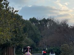 -青枫公园