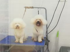 -芭比堂动物医院广州顽皮分院