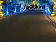 -天平湖公园