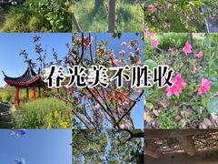 -南汇桃花村