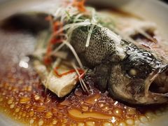 三丝蒸鲈鱼-古南都·老广东酒楼(龙江店)