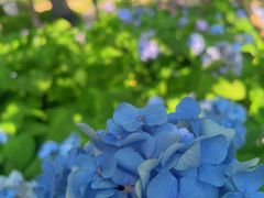 -常州古运河南大街文化旅游区-人民公园