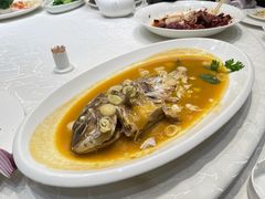家炖野生加吉鱼-大谊园