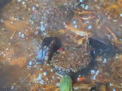 -百年石锅饭·朝鲜族传统民餐