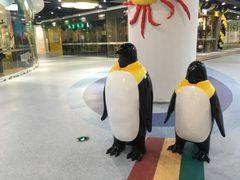 -万达广场(龙湾店)