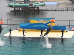 -秦皇岛乐岛海洋王国