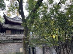 -天一阁博物院