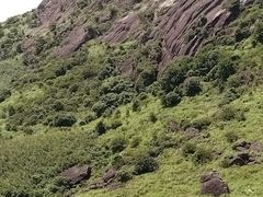 -姑婆山旅游区