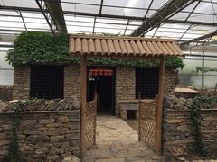 -兰陵国家农业公园