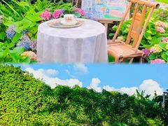 -观澜湖高尔夫球会