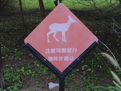 -北京麋鹿生态实验中心