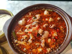 -雀蓝川菜(奥体广场店)