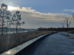 -春花秋色城市公园