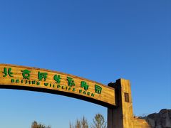 -北京野生动物园