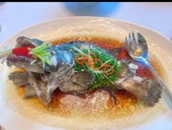 -金茂深圳JW万豪酒店·宴会厅