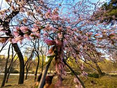 -元大都城垣遗址公园