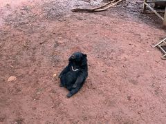 -昆明动物园