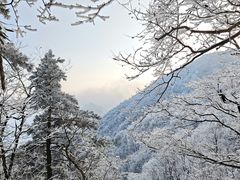 -安吉龙王山风景区