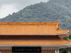 -深圳仙湖植物园