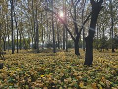 -森林公园(尖草坪区)