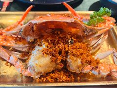 -牛New寿喜烧(金鹰世界店)