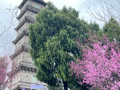 -天台山赤城山景区