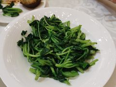 -上海怡沁园度假酒店