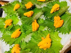 鲜活海胆-王鼎精致料理铁板烧(世博源店)