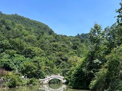 -黔灵山公园