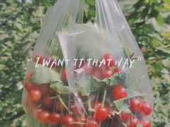 -樱桃山旅游景区