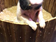 -正佳雨林生态植物园
