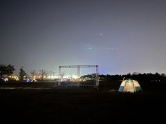 -春花秋色城市公园